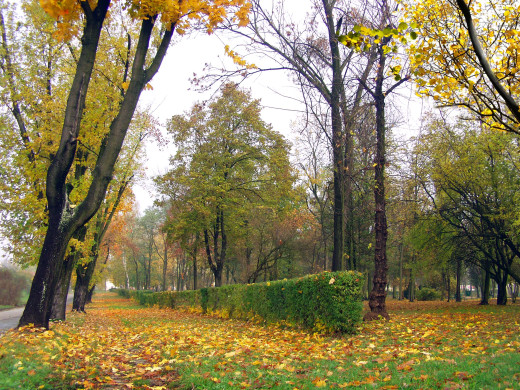 437325 (a): :2560x1920